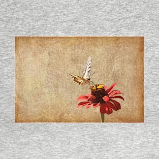 Nectarising - Butterfly Lands On A Flowerhead T-Shirt